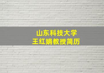 山东科技大学王红娟教授简历