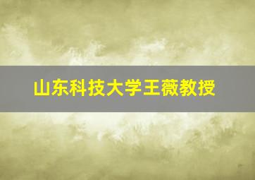 山东科技大学王薇教授