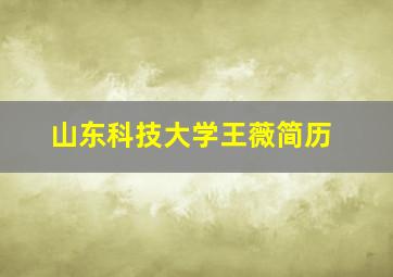 山东科技大学王薇简历