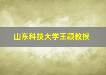 山东科技大学王颖教授