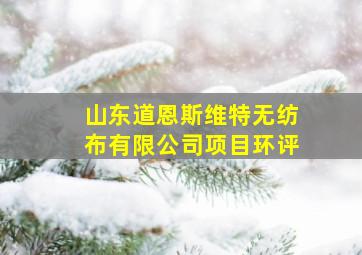 山东道恩斯维特无纺布有限公司项目环评