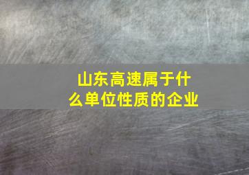 山东高速属于什么单位性质的企业