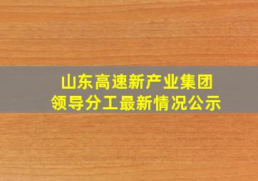 山东高速新产业集团领导分工最新情况公示