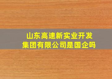 山东高速新实业开发集团有限公司是国企吗