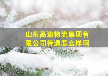 山东高速物流集团有限公司待遇怎么样啊