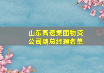 山东高速集团物资公司副总经理名单