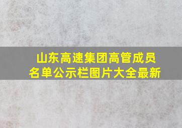 山东高速集团高管成员名单公示栏图片大全最新