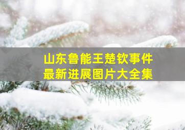 山东鲁能王楚钦事件最新进展图片大全集