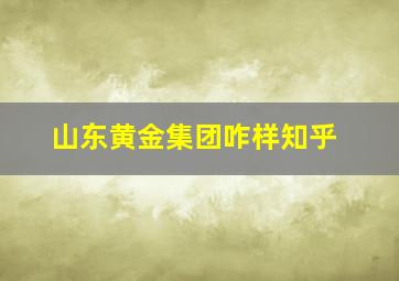 山东黄金集团咋样知乎