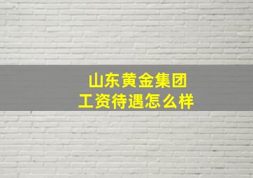 山东黄金集团工资待遇怎么样