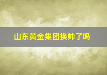 山东黄金集团换帅了吗