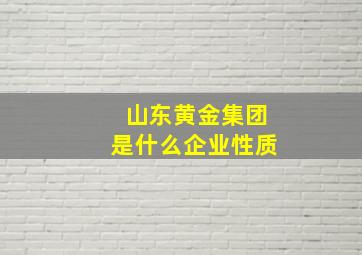 山东黄金集团是什么企业性质