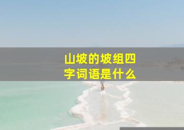 山坡的坡组四字词语是什么