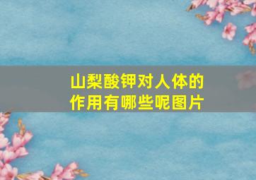 山梨酸钾对人体的作用有哪些呢图片