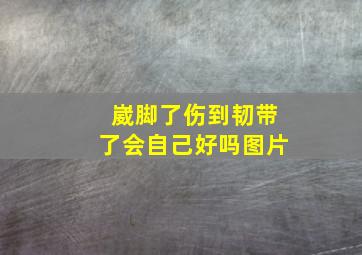 崴脚了伤到韧带了会自己好吗图片