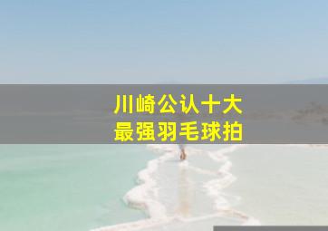 川崎公认十大最强羽毛球拍