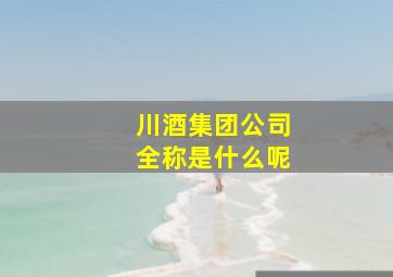 川酒集团公司全称是什么呢