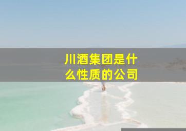 川酒集团是什么性质的公司