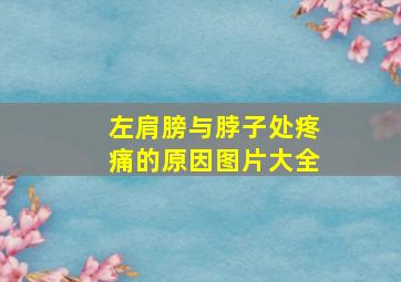 左肩膀与脖子处疼痛的原因图片大全