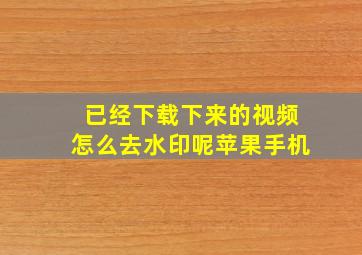 已经下载下来的视频怎么去水印呢苹果手机