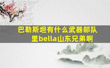 巴勒斯坦有什么武器部队里bella山东兄弟啊