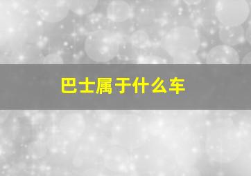 巴士属于什么车