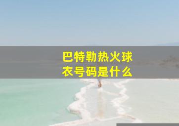 巴特勒热火球衣号码是什么