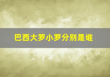 巴西大罗小罗分别是谁