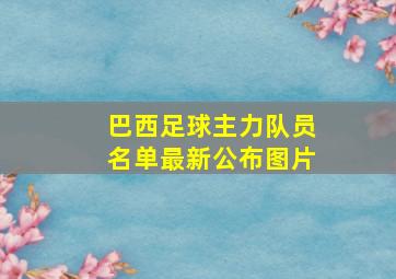 巴西足球主力队员名单最新公布图片