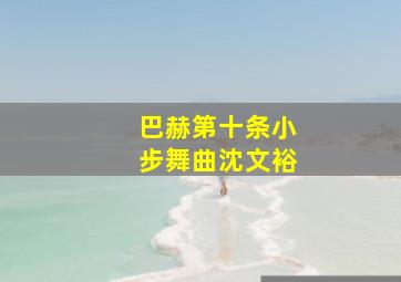 巴赫第十条小步舞曲沈文裕