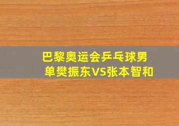 巴黎奥运会乒乓球男单樊振东VS张本智和