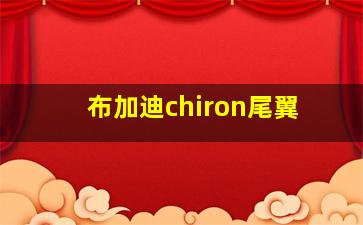 布加迪chiron尾翼