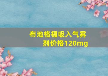 布地格福吸入气雾剂价格120mg