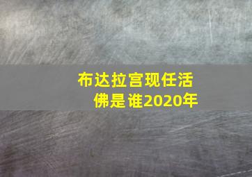 布达拉宫现任活佛是谁2020年