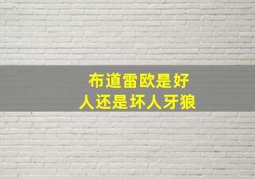 布道雷欧是好人还是坏人牙狼