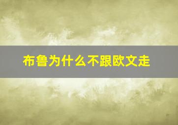 布鲁为什么不跟欧文走