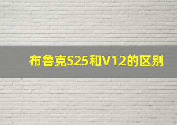 布鲁克S25和V12的区别