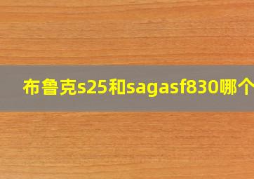 布鲁克s25和sagasf830哪个好