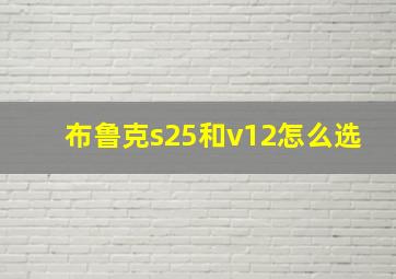 布鲁克s25和v12怎么选