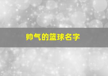 帅气的篮球名字