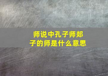 师说中孔子师郯子的师是什么意思