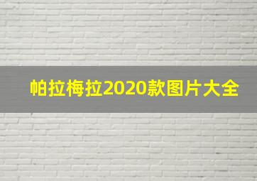 帕拉梅拉2020款图片大全