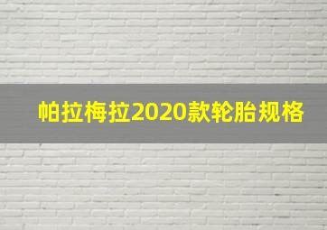 帕拉梅拉2020款轮胎规格