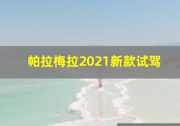 帕拉梅拉2021新款试驾