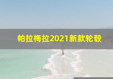 帕拉梅拉2021新款轮毂