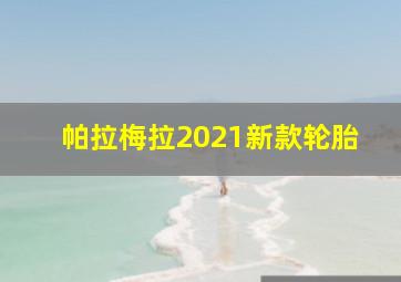 帕拉梅拉2021新款轮胎