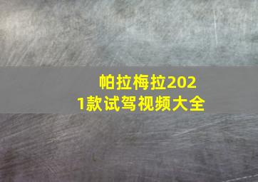 帕拉梅拉2021款试驾视频大全