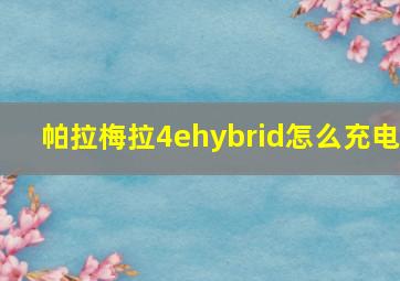 帕拉梅拉4ehybrid怎么充电