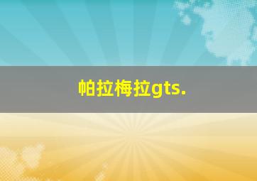 帕拉梅拉gts.