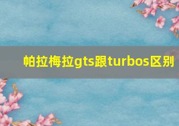 帕拉梅拉gts跟turbos区别